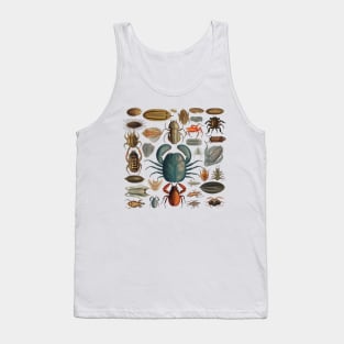 Sea Creature Entomology Board Tank Top